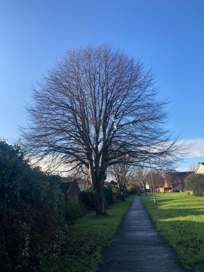 Vila Entire Terraced Two Story Redbrick House With Parking In Secluded Cul De Sac Dublin Exteriér fotografie